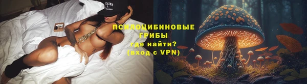 прущая мука Кулебаки