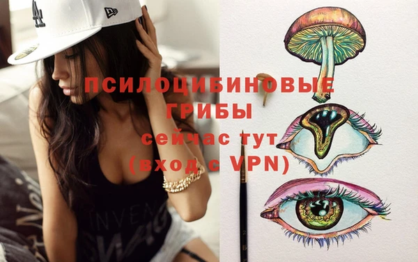 прущая мука Кулебаки