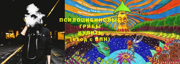прущая мука Кулебаки