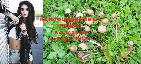 прущая мука Кулебаки