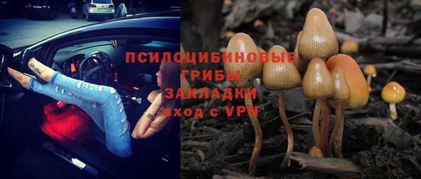 МДПВ Куйбышев